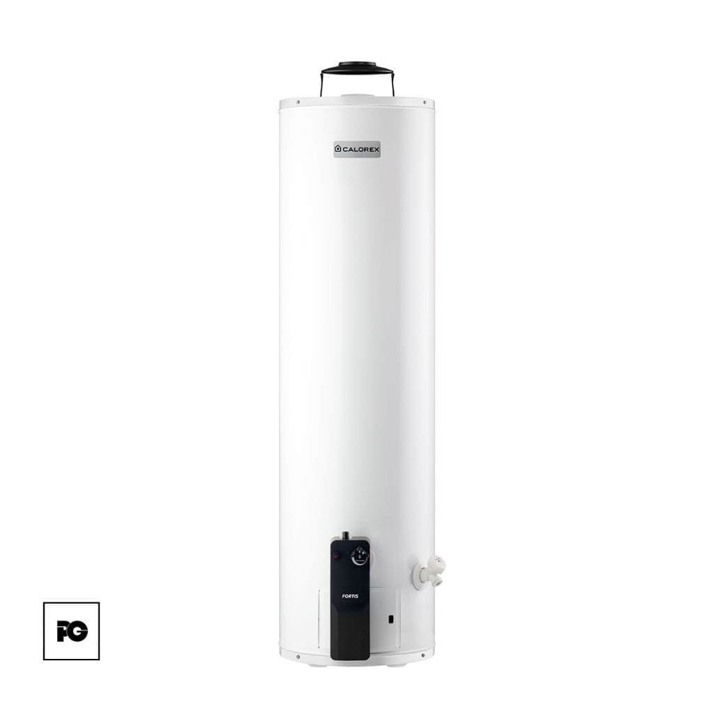 Boiler de depósito Fortis de gas LP para 2 servicio.