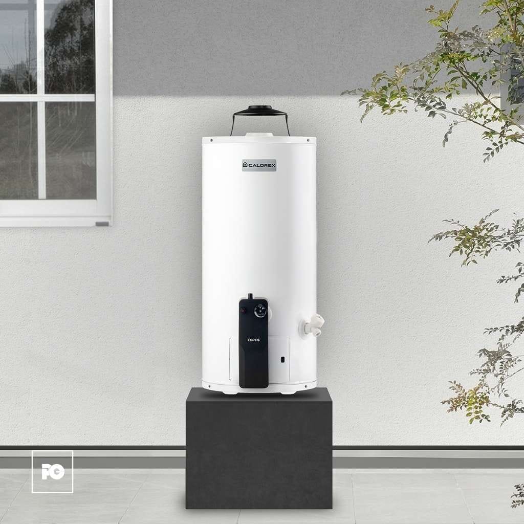 Boiler de depósito Fortis de gas natural para 1 servicio. - Imagen 3
