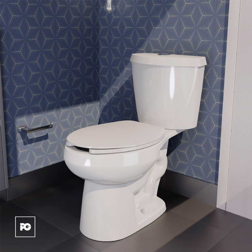 Sanitario Austral blanco con botón. - Imagen 2